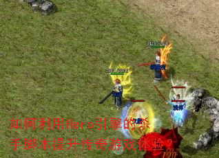 �������Hero�����ɱ�ֽű�����������Ϸ���飿