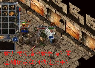 �¿������ʺ�����������������ο������֣�