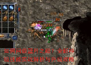 ����ʶ�����֮�ۣ�ȫ���񼶼���ʵս��������������