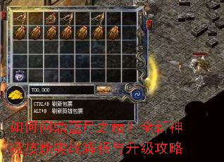 ����ʶ�����֮�ۣ�ȫ���񼶼���ʵս��������������