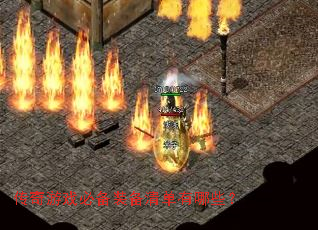 ������Ϸ�ر�װ���嵥����Щ��