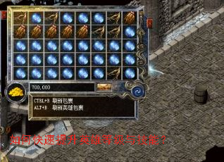 ��ο�������Ӣ�۵ȼ��뼼�ܣ�