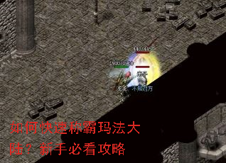 如何快速称霸玛法大陆?新手必看攻略 如何快速称霸玛法大陆?新手必看攻略