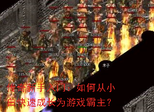 �����������ţ���δ�С�׿��ٳɳ�Ϊ��Ϸ������