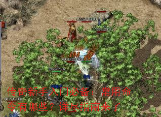 �����������űر���������������Щ���꾡ָ������