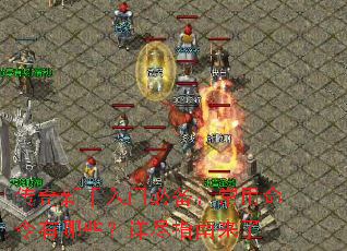 �����������űر���������������Щ���꾡ָ������