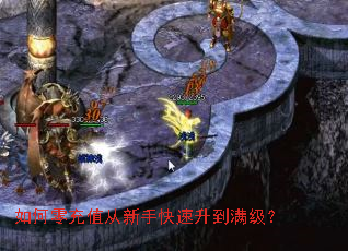 ������ֵ�����ֿ�������������