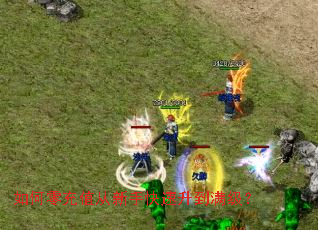 ������ֵ�����ֿ�������������