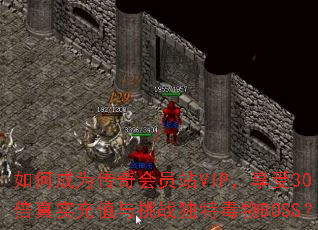 ��γ�Ϊ�����ԱվVIP������30����ʵ��ֵ����ս���ض���BOSS��