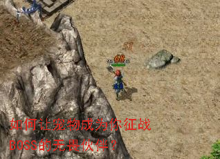 如何让宠物成为你征战BOSS的无畏伙伴? 如何让宠物成为你征战BOSS的无畏伙伴?