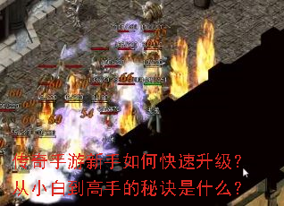 ��������������ο�����������С�׵����ֵ��ؾ���ʲô��