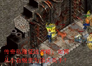 ����˽����ս���ԣ���δ�С���ɱ�Ϊ������֣�