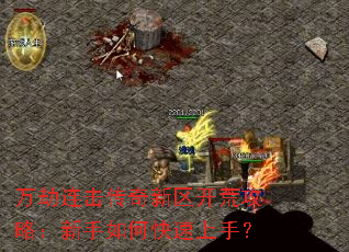 ������������������Ĺ��ԣ�������ο������֣�