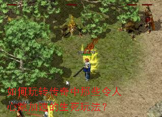 �����ת��������Щ�����������ٵ������淨��