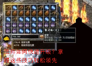 ��ʦ��ο���������������Щ������������