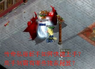 ����˽��������ο������֣������ư�����Щ�������ţ�