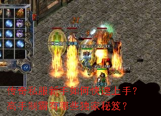 ����˽��������ο������֣������ư�����Щ�������ţ�