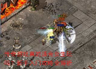 ������Ϸ����ʺ�Ů�������������Ź���ȫ����