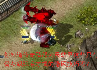 ��֪������˽����Ավ����Щֻ�йǻҼ���ҲŶ������ؼ�����