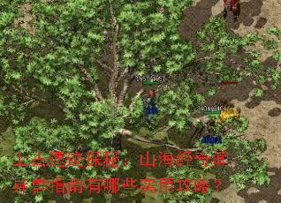 �Ϲ��ż�̽�أ�ɽ������������ָ������Щʵ�ù��ԣ�