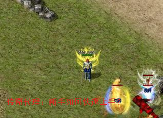 ���������������ο������֣�