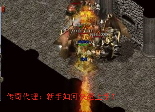 ���������������ο������֣�